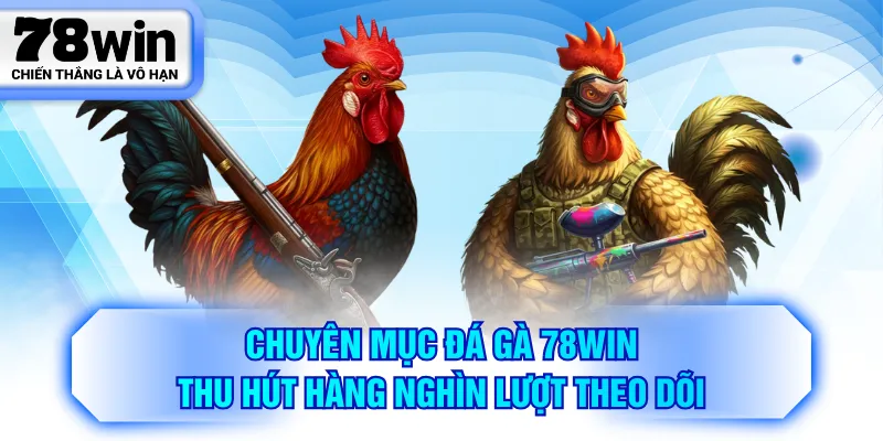 Chuyên mục đá gà 78WIN thu hút hàng nghìn lượt theo dõi